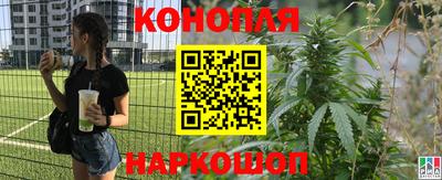 мяу мяу мука Будённовск