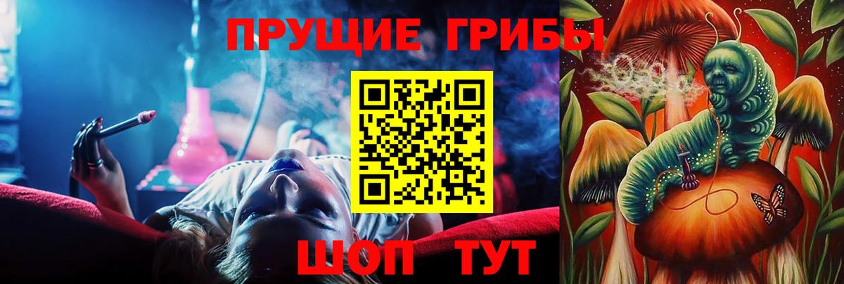 Псилоцибиновые грибы Psilocybine cubensis Нарткала